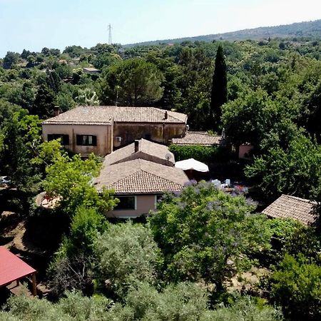 Bed And Breakfast Il Glicine П'єдімонте-Етнео Екстер'єр фото